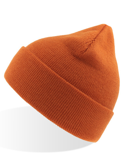 Atlantis Headwear Eko Beanie