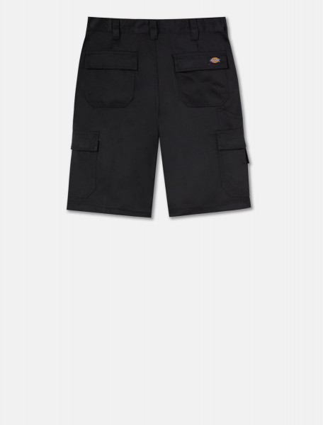 Dickies Short Everyday (EX. DED247SH)